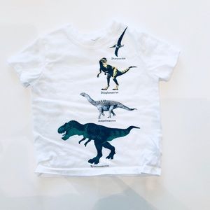 Toddler Dino Shirt